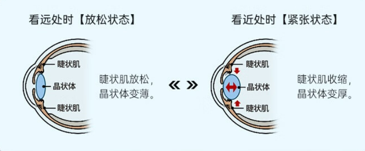 日本视觉辅助设备品牌ViXion（维视安）正式入驻天猫国际——全球首款自动变焦眼镜帮助视觉障碍者重拾清晰视界