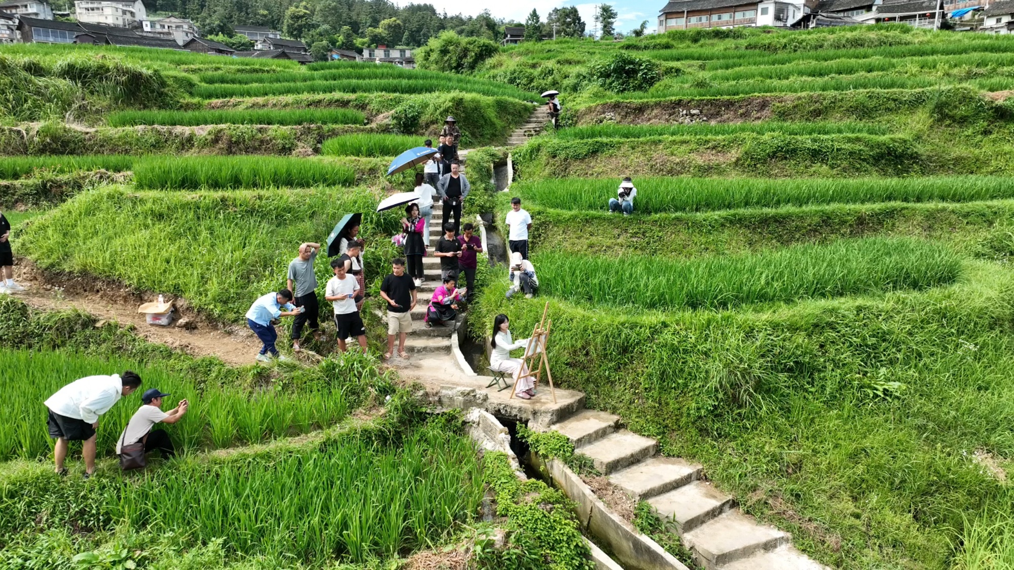 贵州丹寨：电商培训育新农 掌“新农具”兴乡村