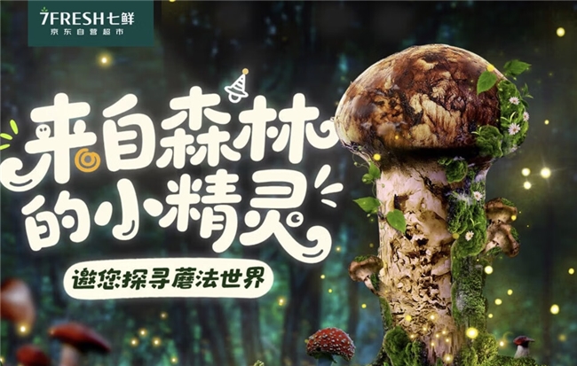 “蘑”法山珍平价尝鲜！ 京东七鲜香格里拉松茸99元开抢