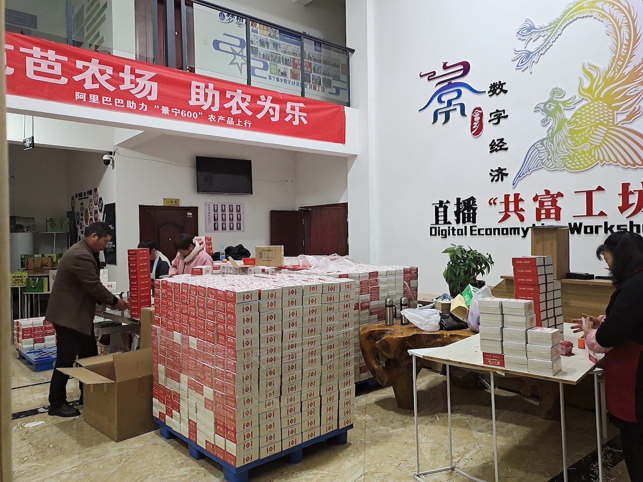 浙江景宁农户19天卖10万单!阿里陪跑计划让50岁“老姜头”变身电商新农人