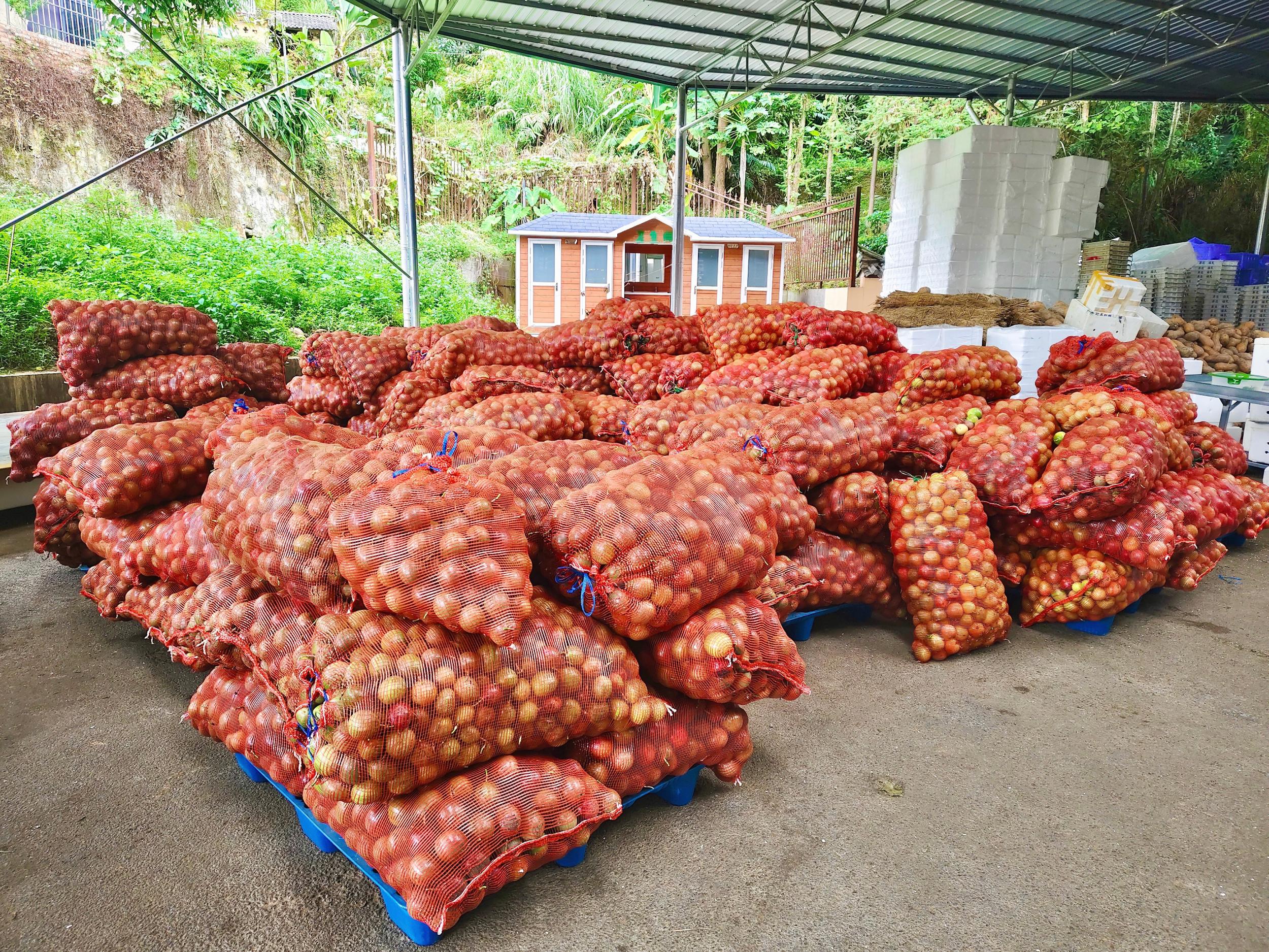 屏边：搭上电商快车 铺就富民新路