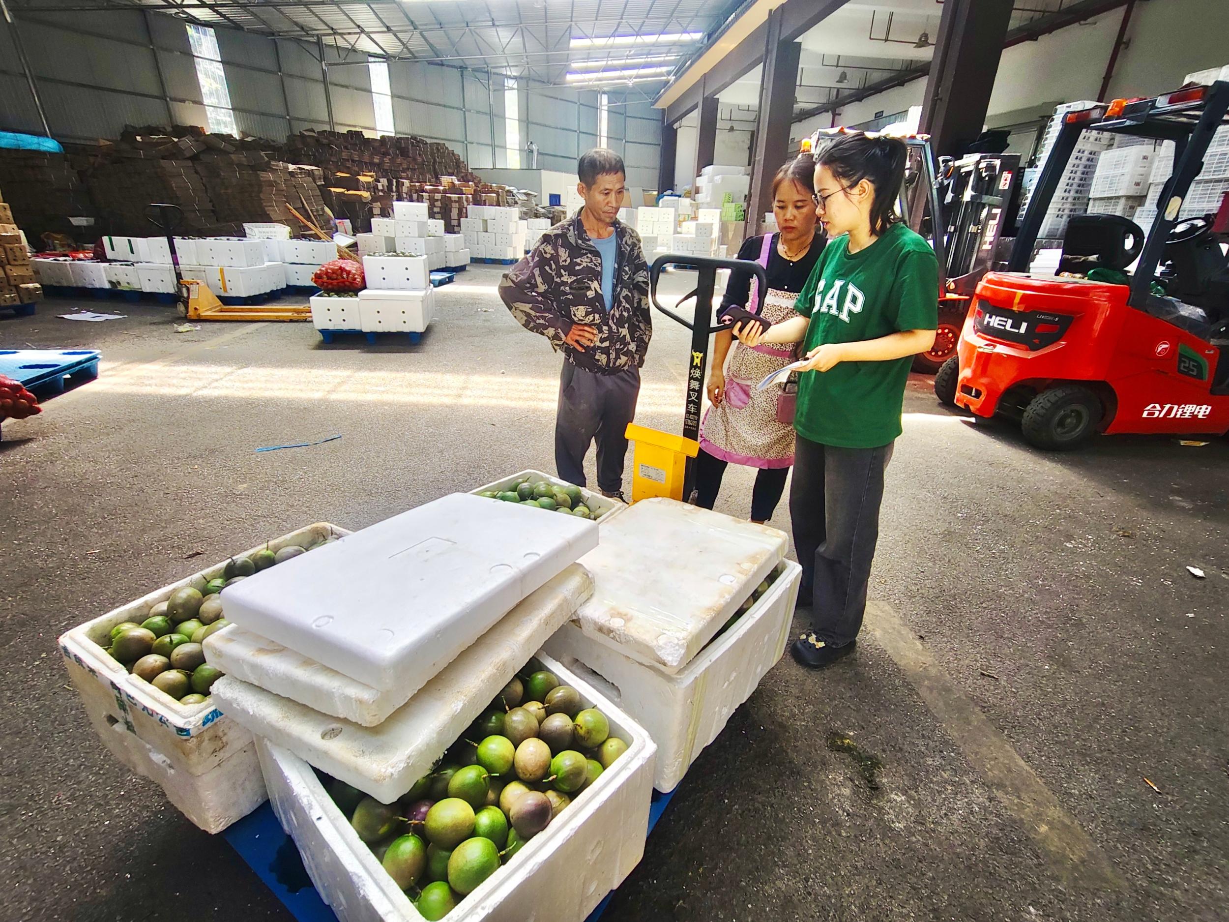 屏边：搭上电商快车 铺就富民新路