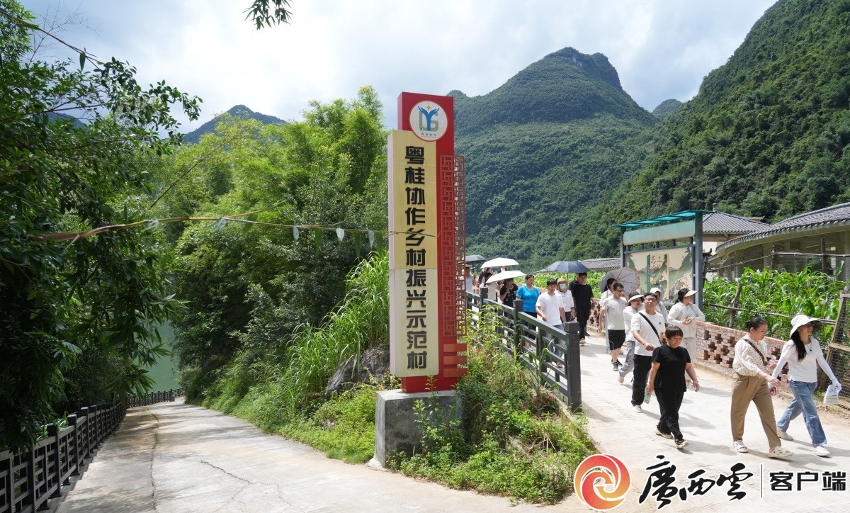 手把手教技能丨粤桂协作都安电商直播培训开课