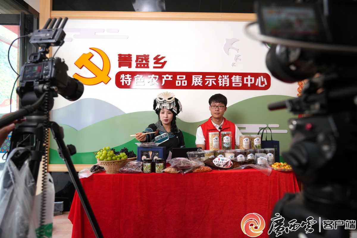 手把手教技能丨粤桂协作都安电商直播培训开课