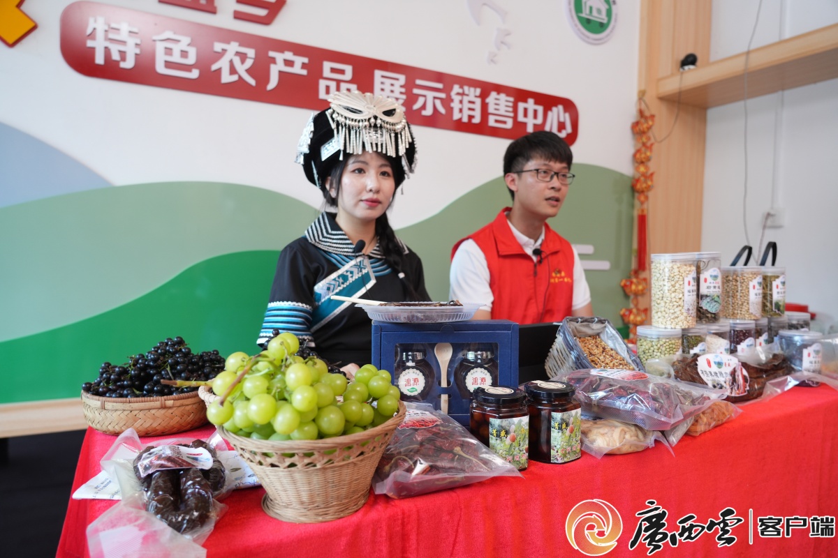 手把手教技能丨粤桂协作都安电商直播培训开课