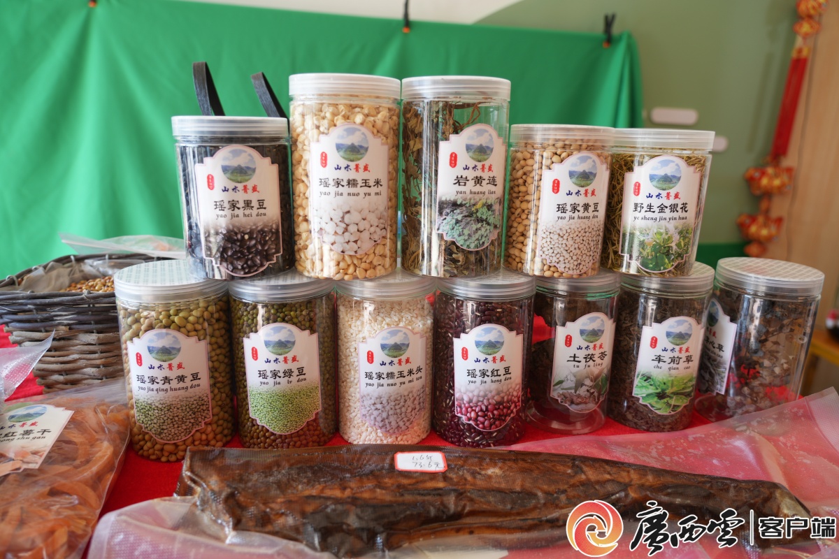 手把手教技能丨粤桂协作都安电商直播培训开课