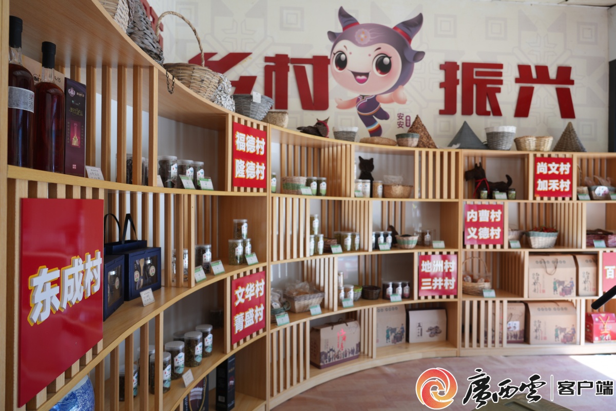 手把手教技能丨粤桂协作都安电商直播培训开课