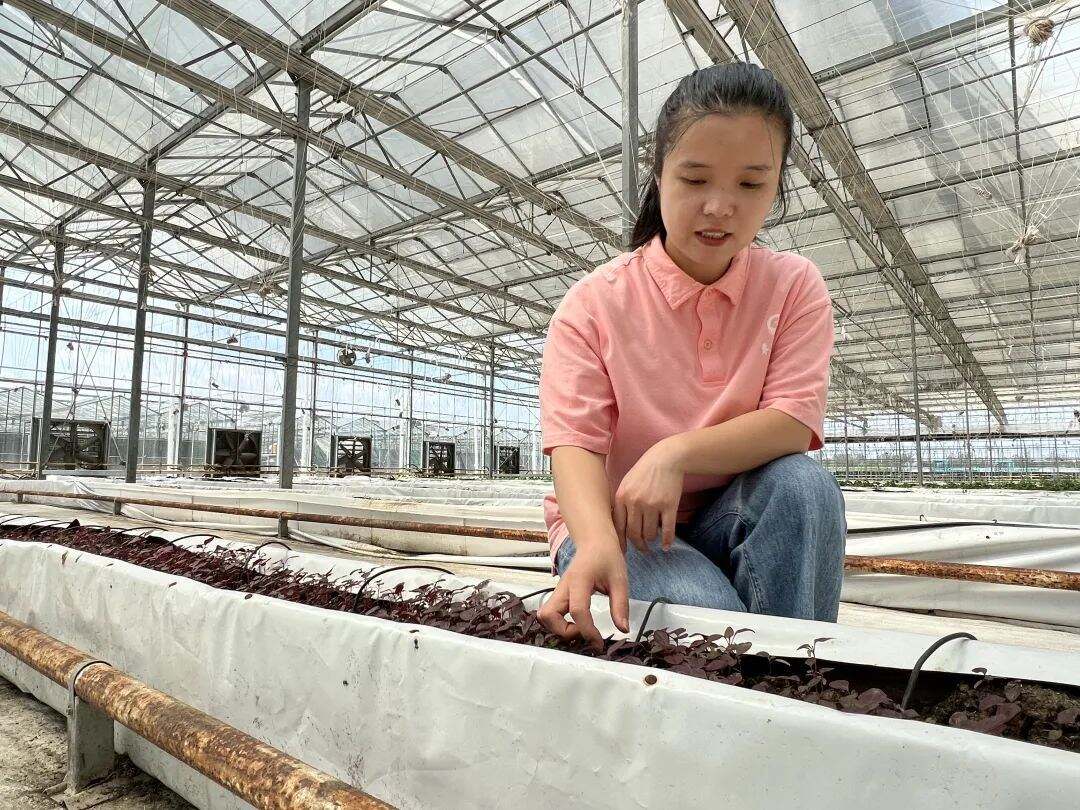 她"务农"15年成全国农村电商带头人