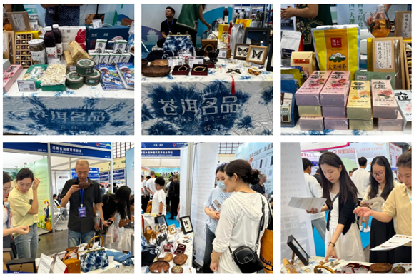 大理特色跨境电商产品亮相2025 郑州国际跨境电商交易博览会！