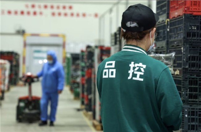 “晨采晚达”的新鲜！京东七鲜11.11行业首推“24小时菜”