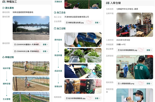 “晨采晚达”的新鲜！京东七鲜11.11行业首推“24小时菜”