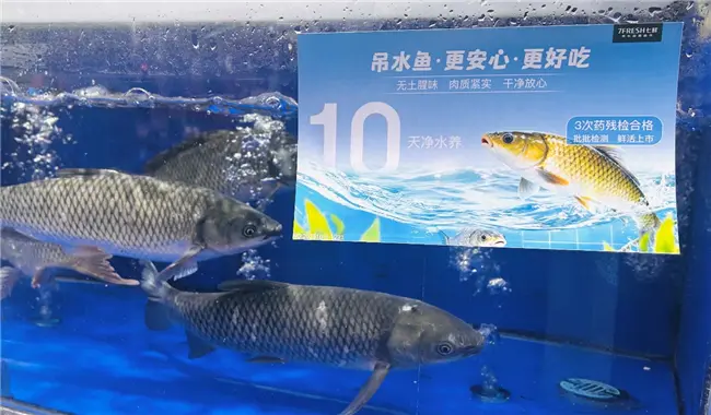 京东七鲜吊水鱼11.11抢“鲜”上市 三重检测更诠释安心美味