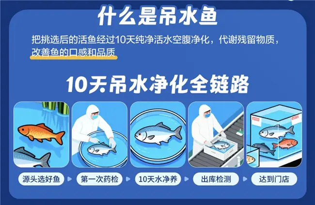 京东七鲜吊水鱼11.11抢“鲜”上市 三重检测更诠释安心美味