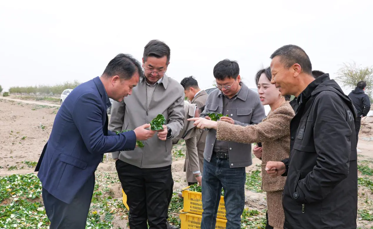 甘肃武威:AI赋能电商激活创业就业