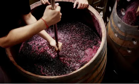 80 年老藤红酒凭啥圈粉?特菲缇五星与罗曼尼康帝诠释:浓缩才是精华!