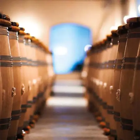 80 年老藤红酒凭啥圈粉?特菲缇五星与罗曼尼康帝诠释:浓缩才是精华!