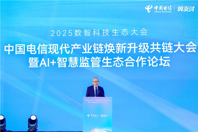 天翼支付科技有限公司总经理宁檬：聚势赋能，共筑移动支付现代产业链新生态