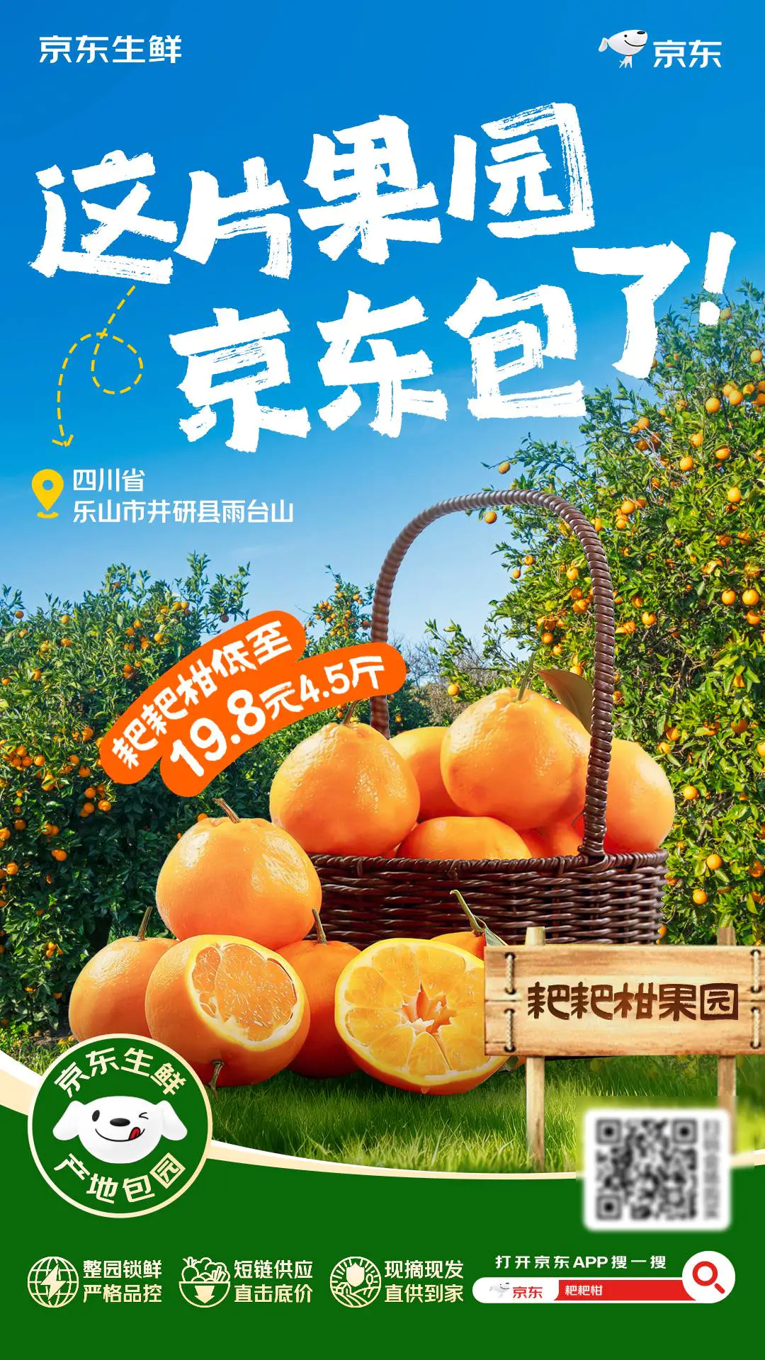 京东生鲜“包园”耙耙柑12月18日上线,4.5斤19.8元畅享自然鲜甜