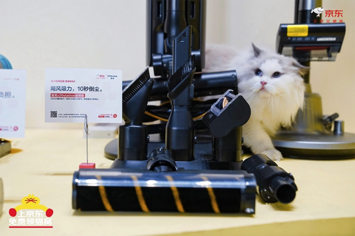 京东生活小家电启动“公益猫窝”计划 全国投放10000个温暖猫窝