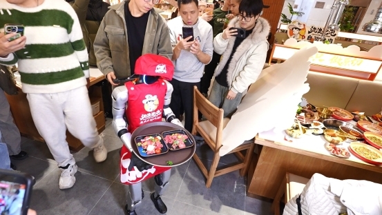 日均客流破5000人次！流浪泡泡杭州首秀印证品牌区域扩张实力