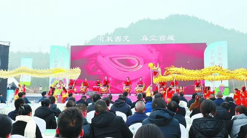 四川南充西充:“电商小镇”激发经济增长新活力