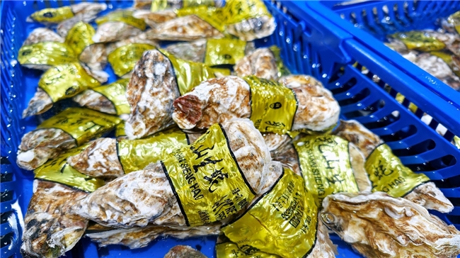 宿州首店试营业！9.9元30枚鲜鸡蛋、2.99元/只生蚝，安徽双店同享“天天低价”