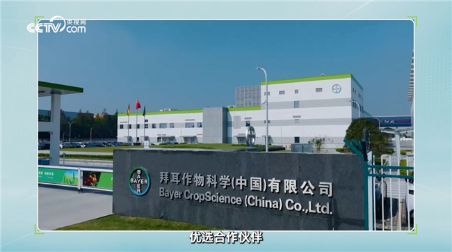 如何选购正规跨境保健品？专家支招并分享拜耳全球品质管控经验