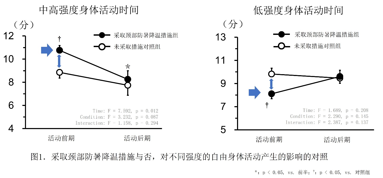 花王与日本顺天堂大学共同研究发现 颈部防暑降温可以延长儿童在夏季的中高强度活动时间