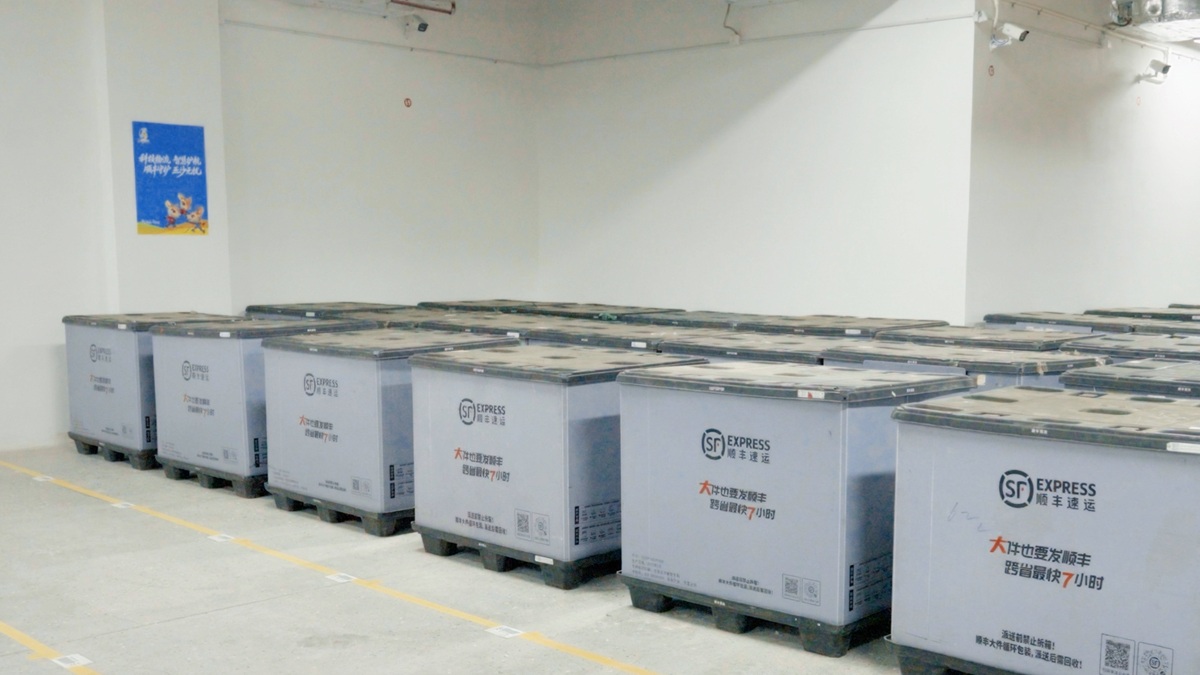 第六届亚沙会燃情启幕，顺丰数智绿色物流打造赛事保障新标杆