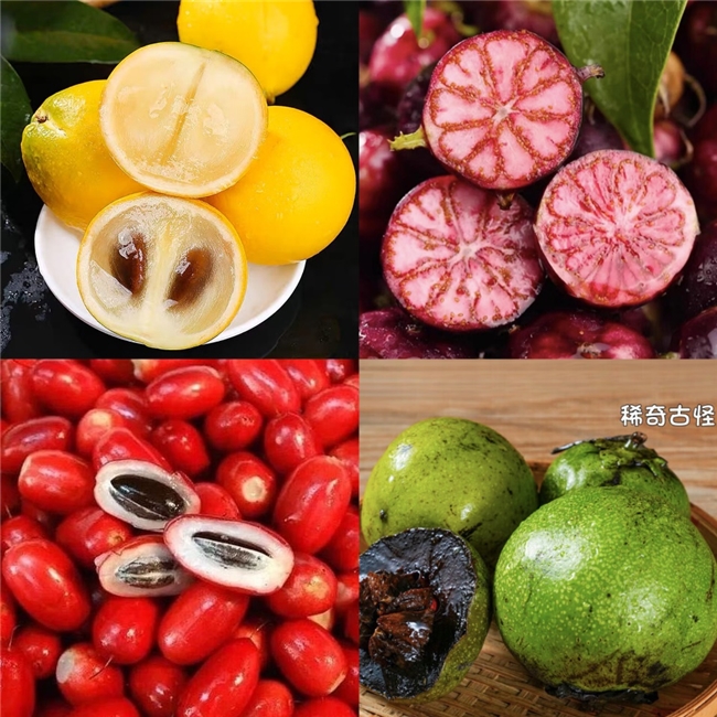 暮春尝鲜天花板！京东生鲜全球寻鲜，这十款稀缺珍果好吃又出片