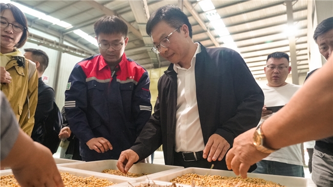 燕京纳豆原料溯源之旅见证“一粒好豆的诞生”
