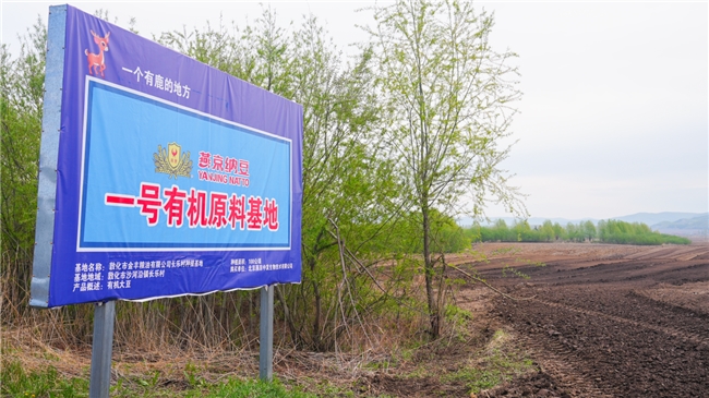燕京纳豆原料溯源之旅见证“一粒好豆的诞生”