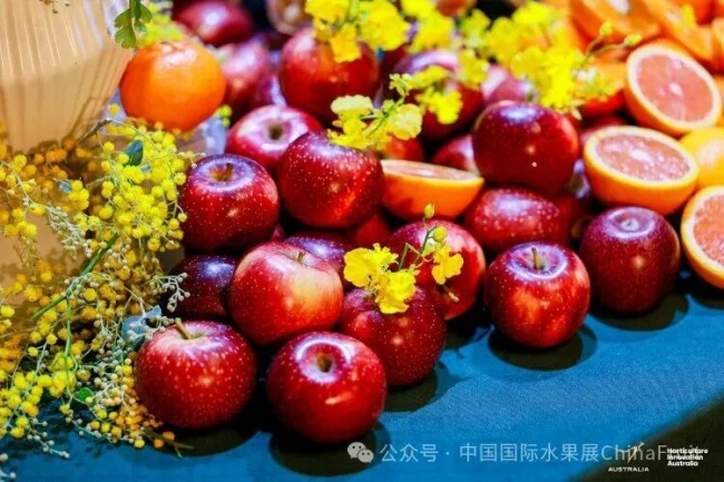 2026澳大利亚果蔬坚果产业交流晚宴在沪举行，共促中澳园艺产业合作