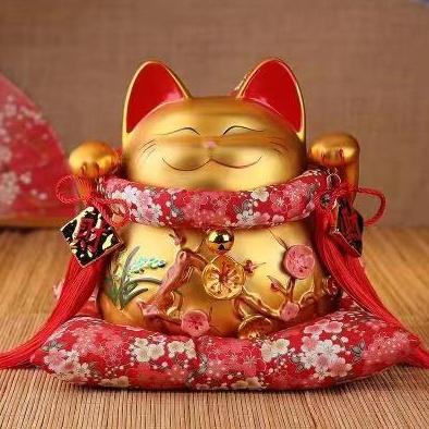 Q展人梁梅的头像